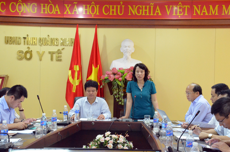 Đồng chí Vũ Thị ThPhát biểu tại buổi làm việc, đồng chí Vũ Thị Thu Thủy, Phó Chủ tịch UBND tỉnh cho biết