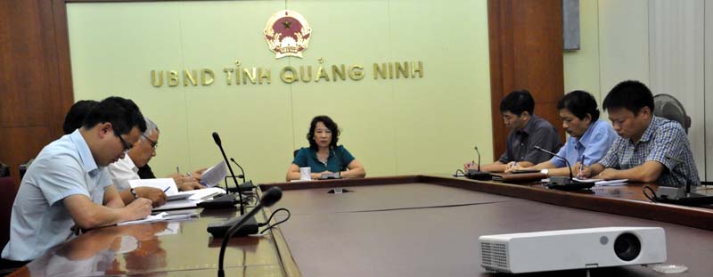 Đồng chí Vũ Thị Thu Thủy, Phó Chủ tịch UBND tỉnh chủ trì cuộc họp