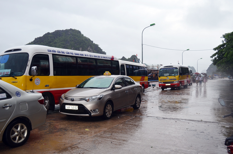 Xe Bus do ngành chức năng huy động sẵn sàng chờ du khách vào đất liền và đưa đến các bến xe khách trên địa bàn tỉnh