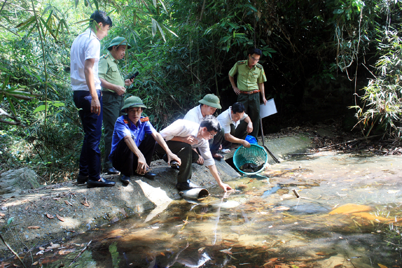 Lực lượng chức năng thả các cá thể rùa về rừng tại suối Vạn Lau, đảo Ba Mùn (Vườn Quốc gia Bái Tử Long).
