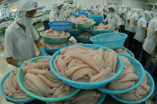 Nhiều doanh nghiệp lo ngại việc xuất khẩu nông thủy sản vào thị trường Trung Quốc sẽ gặp khó khăn do nước này liên tục phá giá đồng nhân dân tệ.