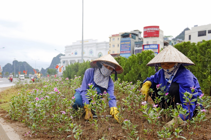 Công tác trang trí và dọn vệ sinh ở khu vực Đồng hồ cũng đang dần được hoàn thiện.