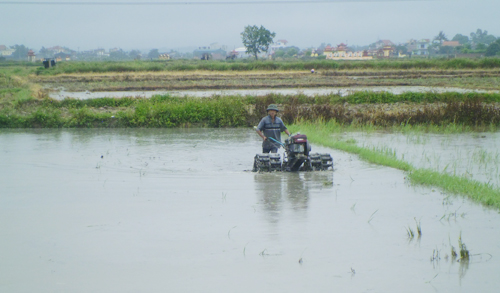 Nông thôn mới trong lòng Đông Triều