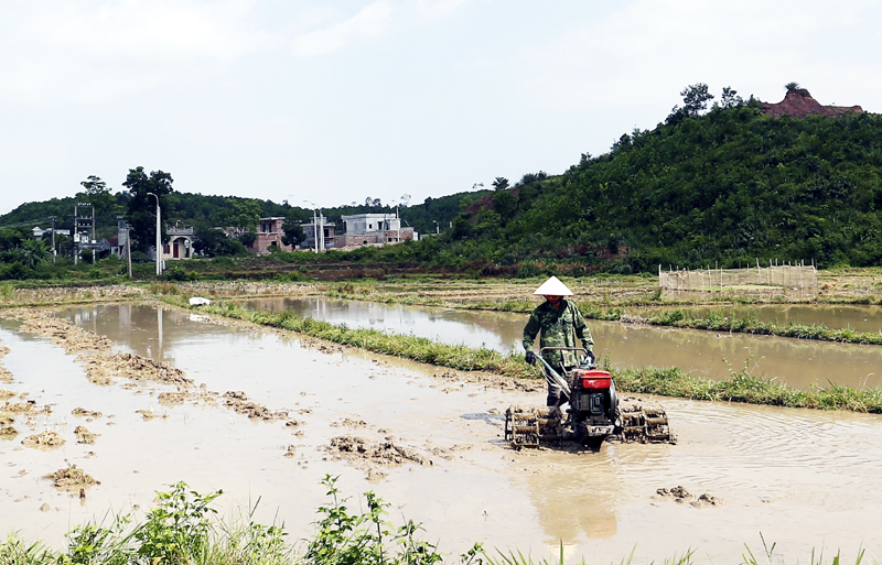 Nông dân xã Quảng Lâm (Đầm Hà) đầu tư máy cày phục vụ cho sản xuất thay vì lao động thủ công toàn phần như trước đây. Ảnh: Hùng Sơn