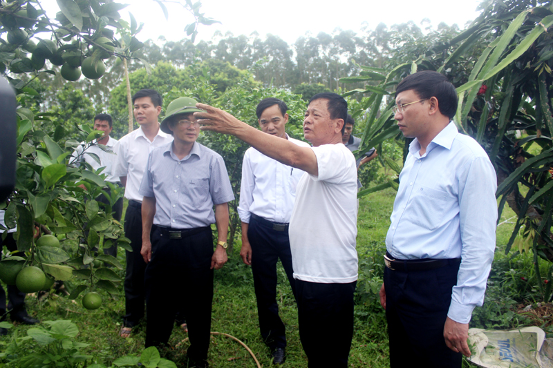 Lãnh đạo TP Móng Cái thăm mô hình trang trại của ông Hà Văn Sáng (thôn 5, xã Quảng Nghĩa, TP Móng Cái).