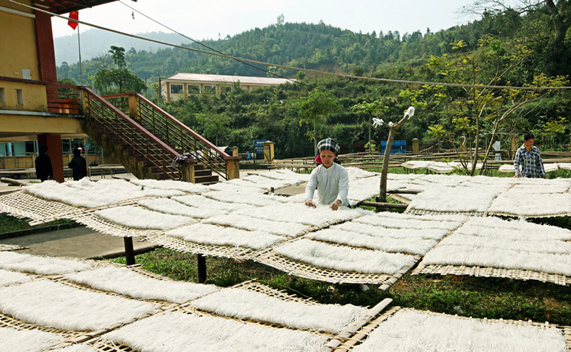 Đây cũng là địa phương có nhiều đặc sản theo Chương trình “Mỗi xã, phường một sản phẩm” như dầu sở, mật ong, miến dong...