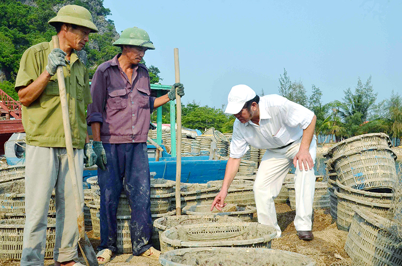 Ông Tờ cẩn trọng hướng dẫn công nhân kỹ thuật chuẩn bị lồng nuôi tu hài.
