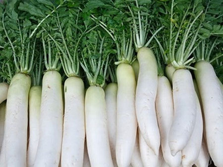 Có nhiều tác dụng chữa bệnh, củ cải trắng được gọi là nhân sâm trắng - Hình minh họa.