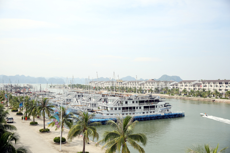 Cảng tàu khách quốc tế Tuần Châu.