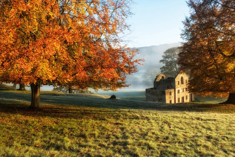   Sắc đỏ rực rỡ ở Derbyshire.