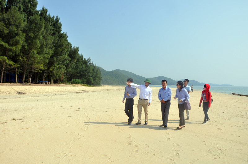 Đoàn khảo sát cùng lãnh đạo địa phương tham gia khảo sát bãi biển Đầu Rồng, xã đảo Cái Chiên, huyện Hải Hà.