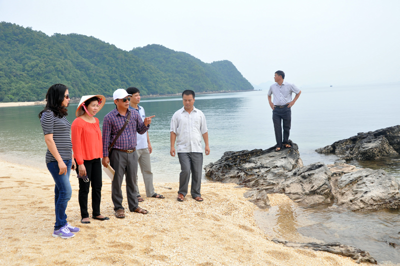 Đoàn khảo sát cùng lãnh đạo địa phương tham gia khảo sát bãi biển tại đảo Đá Dựng, Đầm Hà.