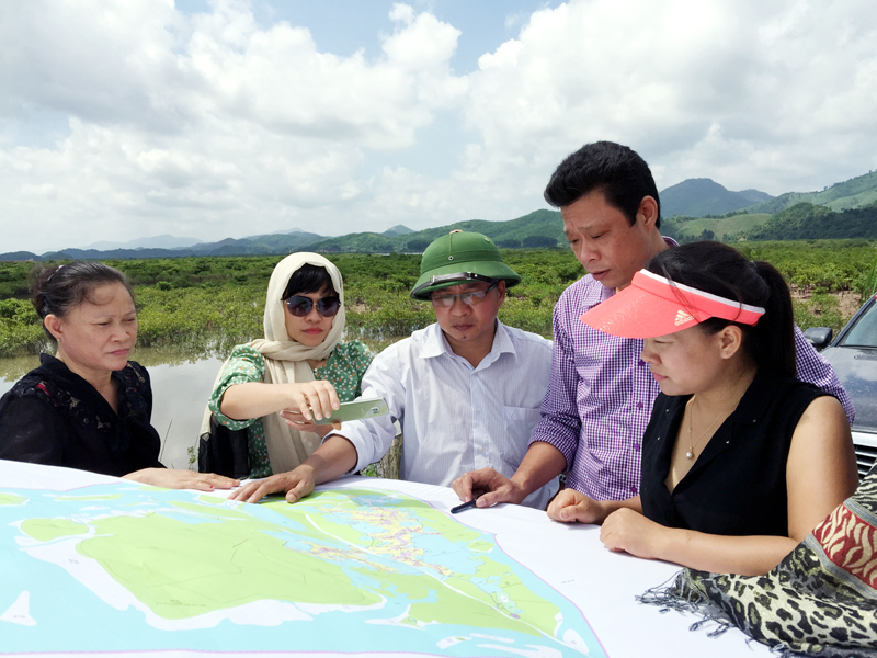 Chị Lê Thị Thêm (ngoài cùng bên phải) cùng lãnh đạo địa phương đang khảo sát khu rừng ngập mặn Đồng Rui, Tiên Yên.
