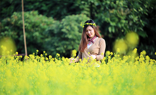 Địa điểm ngắm hoa cải đẹp nhất miền Bắc - Khám phá sắc trắng tinh khôi giữa thiên nhiên Địa điểm ngắm hoa cải đẹp nhất miền Bắc - Khám phá sắc trắng tinh khôi giữa thiên nhiên