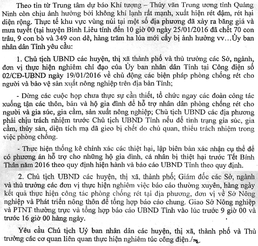 Công điện khẩn về tăng cường thực hiện biện pháp phòng chống rét cho người và bảo vệ sản xuất nông nghiệp trên địa bàn tỉnh