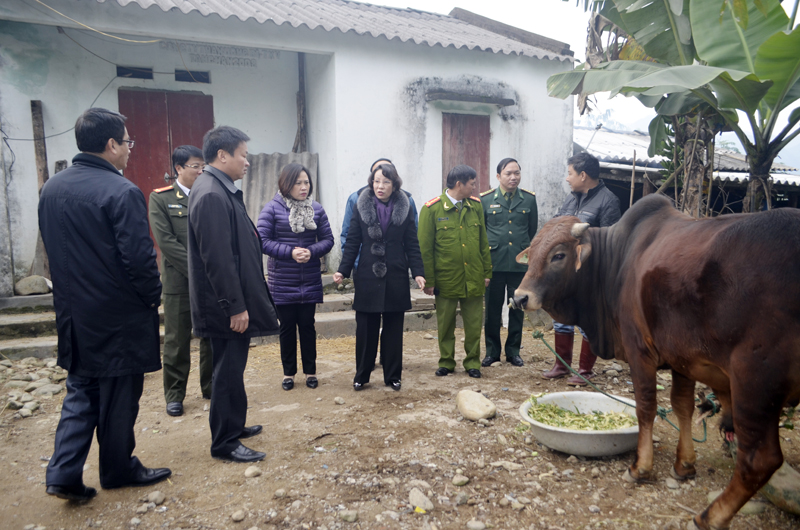 Các địa phương cần chủ động phương án phòng, chống rét, dịch bệnh cho người và bảo vệ sản xuất nông nghiệp