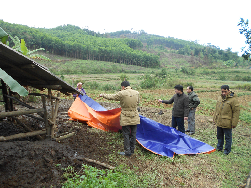 Lãnh đạo huyện Ba Chẽ kiểm tra phòng chống rét gia súc, gia cầm trên địa bàn xã Minh Cầm (Ảnh: Ngọc Lợi-Đài Ba Chẽ)