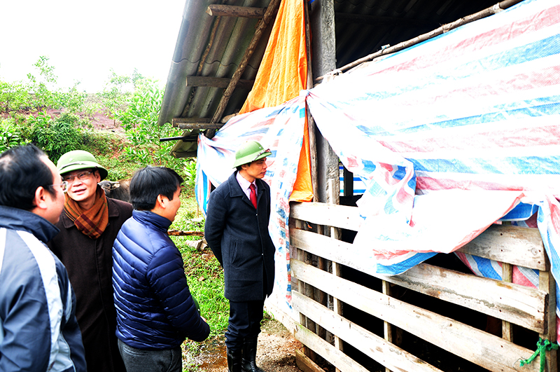 Đồng chí Vũ Văn Diện, Phó Chủ tịch UBND tỉnh kiểm tra công tác phòng chống rét tại Vân Đồn (Ảnh: Tuấn Kiệt)
