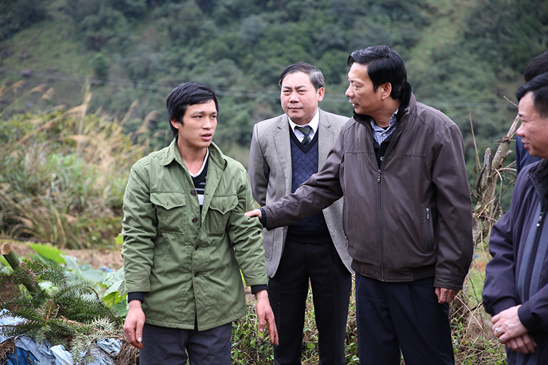 Ứng 5 tỷ đồng cho huyện Bình Liêu hỗ trợ người dân có gia súc bị chết rét
