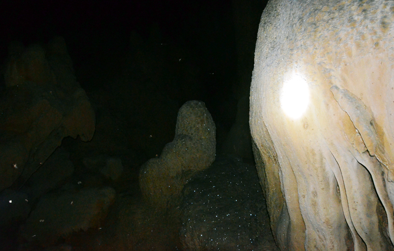 Càng đi sâu vào hang ta càng phát hiện nhiều măng nhũ đá đẹp, óng ánh...