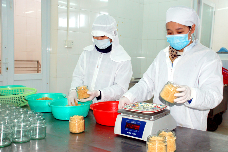 Công nhân Công ty TNHH Sản xuất và Thương mại thuỷ sản Quảng Ninh, kiểm tra và đóng hộp sản phẩm ruốc hàu.