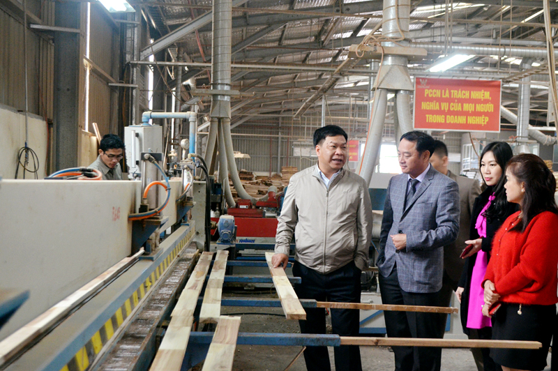 Hội Doanh nhân trẻ thăm Nhà máy chế biến gỗ của Công ty THNH Thanh Lâm.