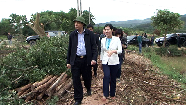 Phải hoàn thành GPMB cao tốc Hạ Long- Vân Đồn như đã cam kết