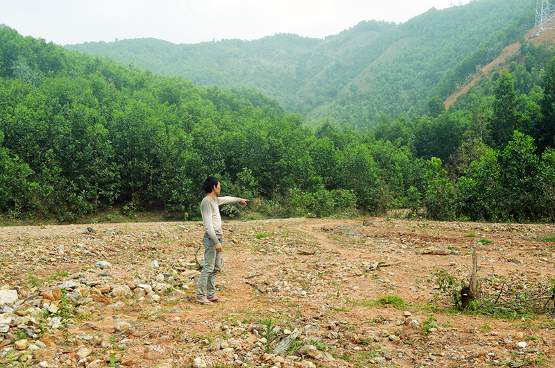 Theo ông Hoàng Văn Xìn, phần diện tích hiện đã bị đất đá trên đồi vùi vốn là đất trồng lúa được gia đình khai hoang từ năm 1990, nằm trong diện tích được cấp giấy CNQSDĐ lâm nghiệp.