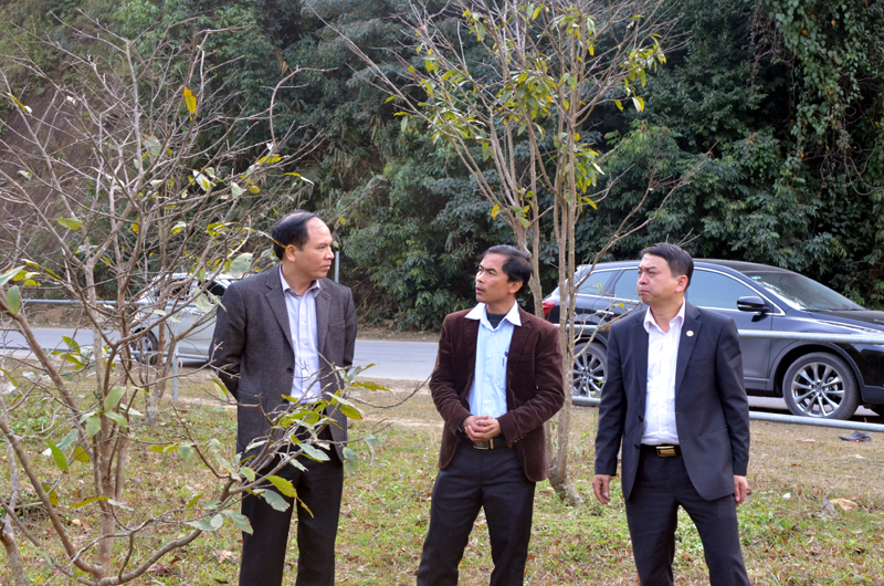 Cán bộ Ban quản lý Di tích và Rừng Quốc gia Yên Tử báo cáo với Bí thư Thành uỷ Uông Bí Trần Văn Lâm (ngoài cùng bên trái) việc bảo vệ và phát triển mai vàng Yên Tử.