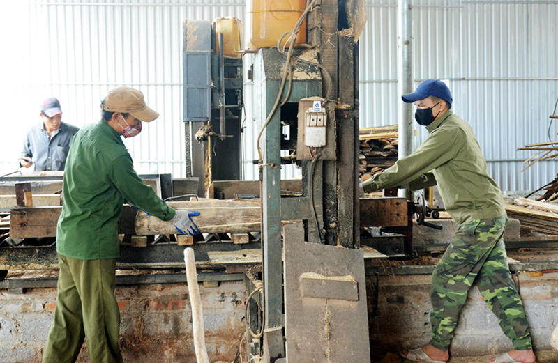 Chế biến gỗ tại Công ty Trường Sơn 36, Cụm công nghiệp Nam Sơn (Ba Chẽ).