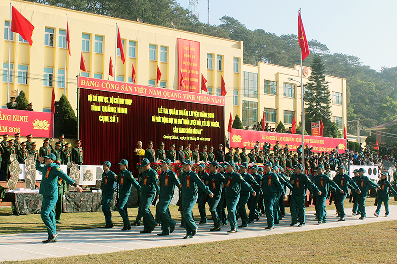 Lực lượng DQTV tham gia diễu hành trong lễ ra quân huấn luyện năm 2016.