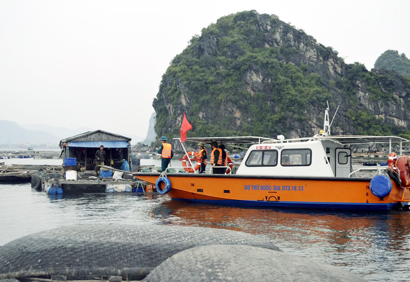 Tiểu đội Dân quân thường trực phường Cẩm Trung (TP Cẩm Phả) kiểm tra khu neo đậu tàu, thuyền, lồng bè nuôi trồng thuỷ sản tại Bến Do, phường Cẩm Bình (TP Cẩm Phả).