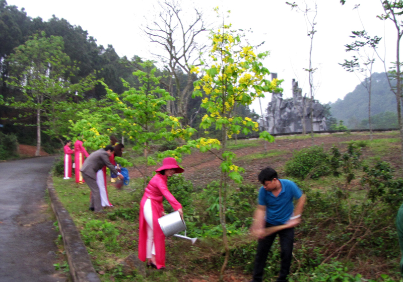CBGV chăm sóc mai vàng Yên Tử tại Khu di tích lịch sử ngã ba Đồng Lộc.