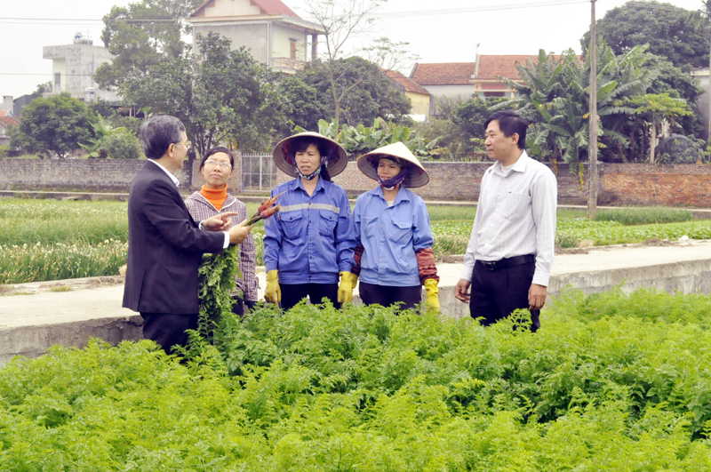 Cán bộ Công ty CP Đầu tư xây dựng Việt Long hướng dẫn nông dân quy trình chăm sóc rau, củ an toàn.