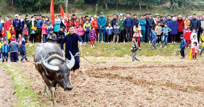 Thực hiện nghi lễ xuống đồng trong Hội Lồng tồng của đồng bào dân tộc Tày ở xã Phong Dụ (Tiên Yên) năm 2016. Ảnh: Công Thành