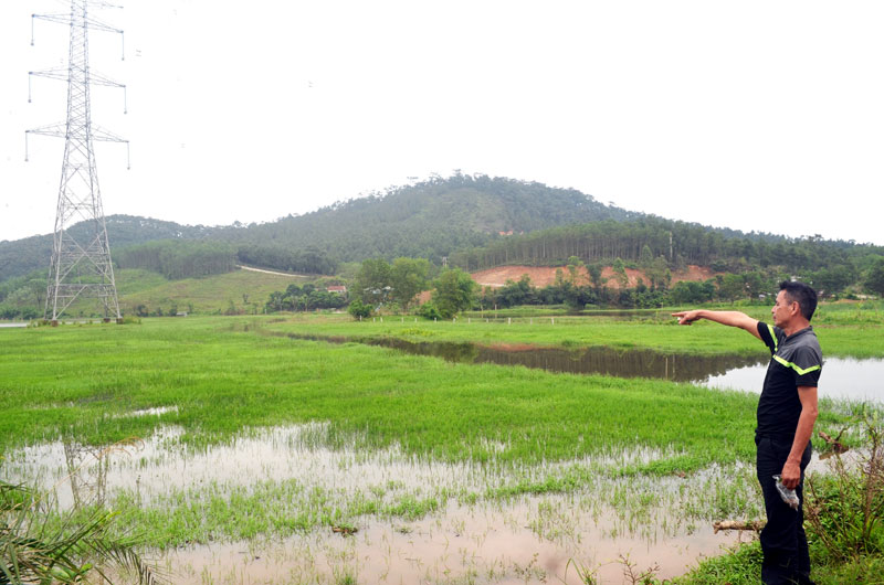 Trong điều kiện bình thường, hơn 21,7ha đất nông nghiệp tại cánh đồng Ba Sào, thôn Đá Trắng, xã Thống Nhất, huyện Hoành Bồ luôn trong tình trạng ngập úng nên bà con đã bỏ hoang nhiều năm nay.