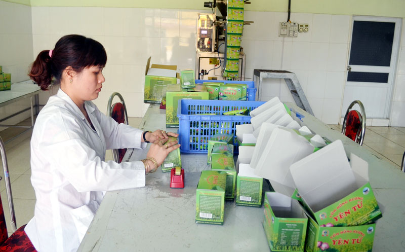 Cán bộ Công ty CP Giống cây trồng Quảng Ninh thực hiện khâu đóng gói sản phẩm Cốm Hồng Hương Yên Tử.