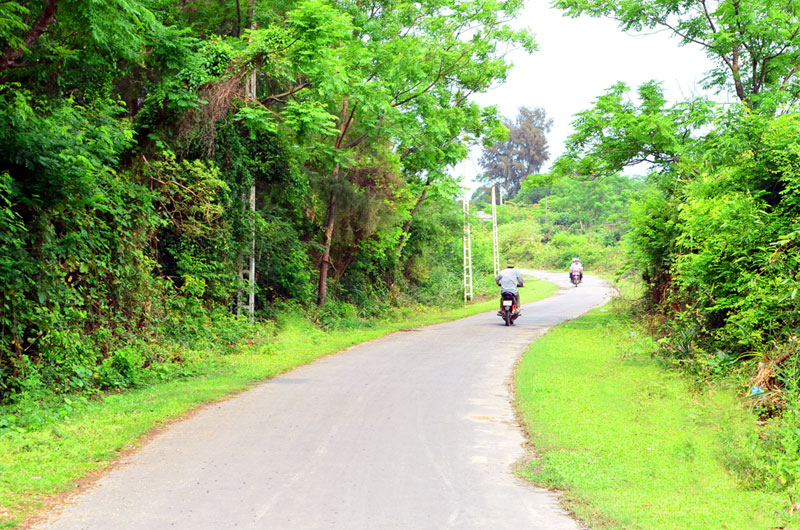Tuyến đường giao thông xuyên đảo xanh bóng cây, cho du khách những trải nghiệm thú vị.
