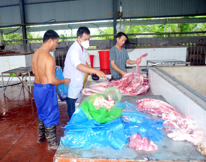 Cán bộ Trung tâm Dịch vụ kỹ thuật nông nghiệp TP Uông Bí lăn dấu kiểm dịch thịt lợn tại cơ sở giết mổ tập trung của Công ty TNHH Thực phẩm Vang Thanh Dương.