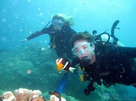 Lặn biển ngắm san hô là một trò chơi được nhiều du khách lựa chọn.