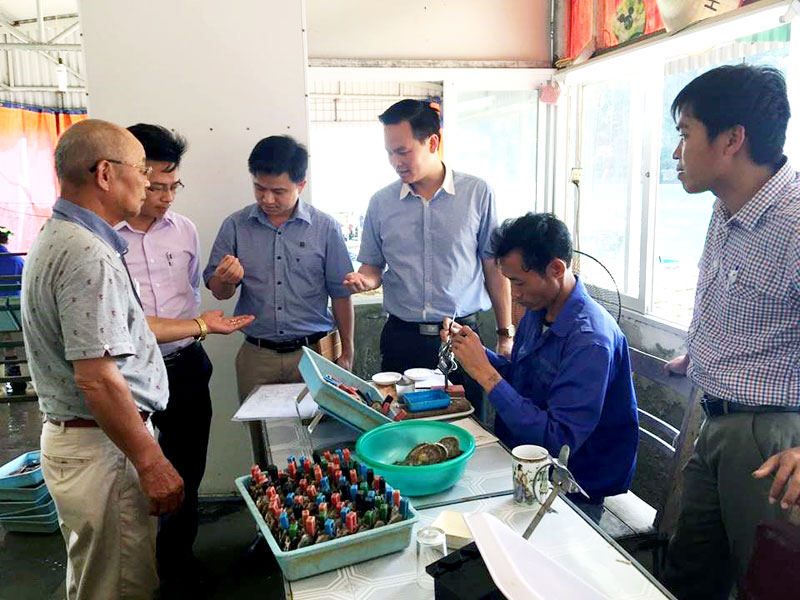 Japan Desk Quảng Ninh và Công ty Taiheiyo Shinju Việt Nam trao đổi, bàn các giải pháp tháo gỡ khó khăn, vướng mắc cho Công ty.
