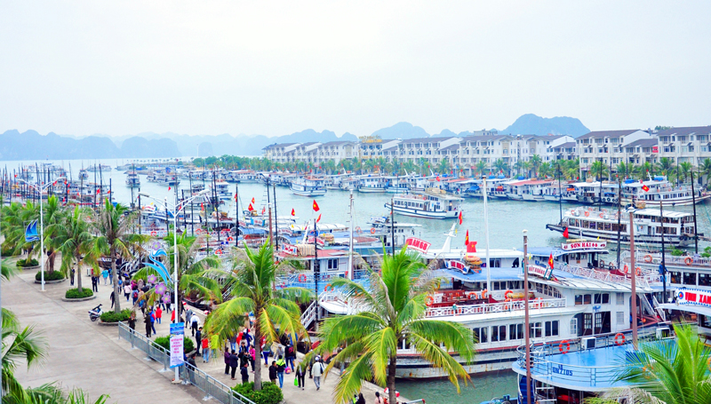 Cảng tàu khách quốc tế Tuần Châu có thể tiếp nhận cùng lúc 2.000 tàu neo đậu là một trong những cảng tàu hiện đại nhất Việt Nam.