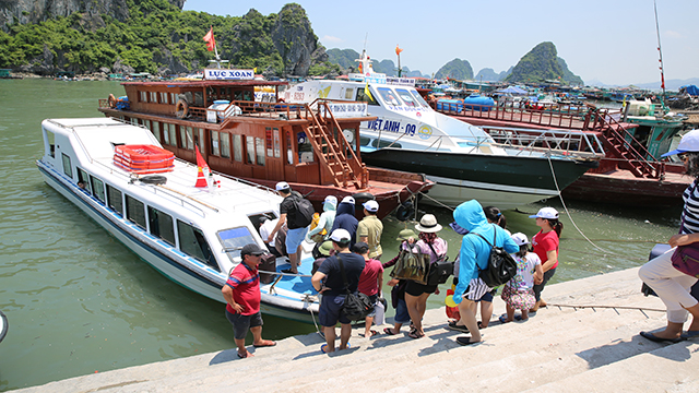 Tàu du lịch ngang nhiên đón khách tại bến tàu chưa hoạt động