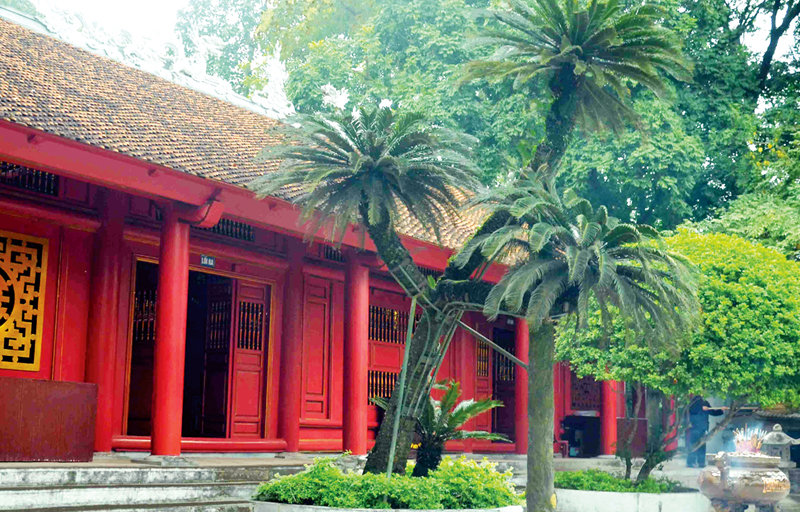 Cây thiên tuế hơn 800 tuổi ở chùa Thiên Quang.