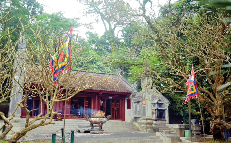 Sau lưng đền Trung có cả rừng cây hàng trăm năm tuổi.