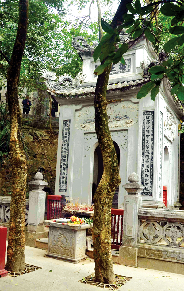 Trước lăng mộ vua Hùng, hai cây như những viên tướng đứng canh gác.