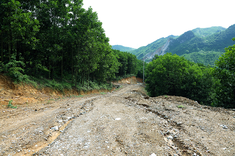 Con đường mới mở của Công ty TNHH Tiên Lâm trên phần diện tích đất nằm ngoài ranh giới quy hoạch của Dự án