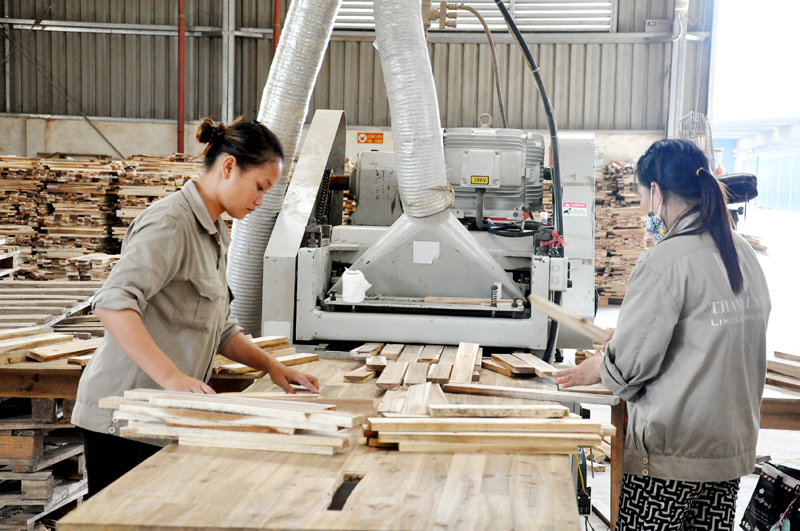 Chế biến gỗ thanh xuất khẩu tại Nhà máy Chế biến gỗ sâu xã Tân Bình.