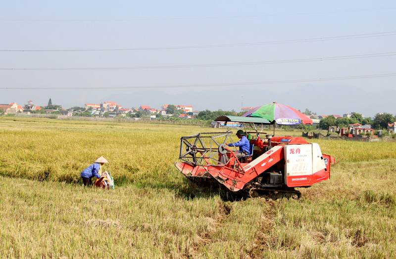 Chương trình Thời sự tối ngày 05/08/2016