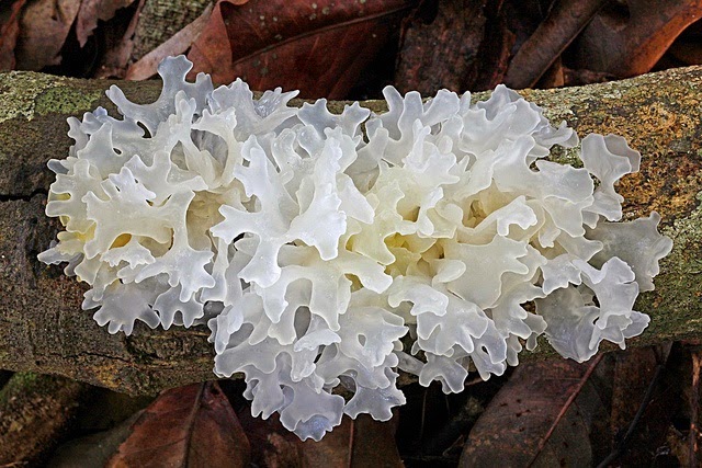 Hình minh họa. (Nguồn Internet)
